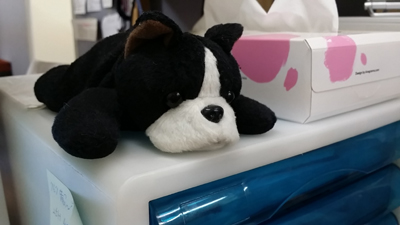 スクールのマスコット